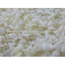 Wholesaler of Freeze Dried Onion